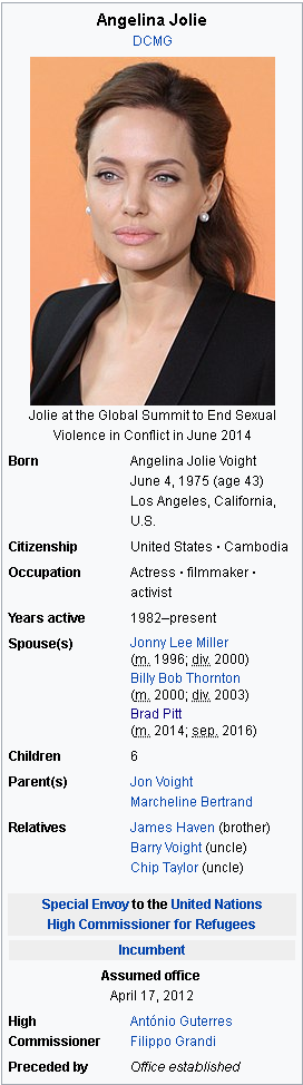 Angelina jolie bisexual 2003
